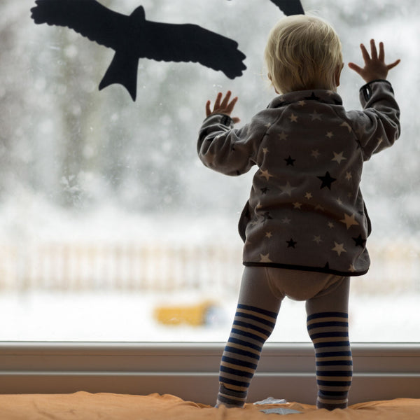 Autocollants de fenêtre oiseau 9 pièces en set