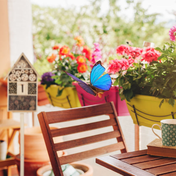 Hôtel à insectes en standard