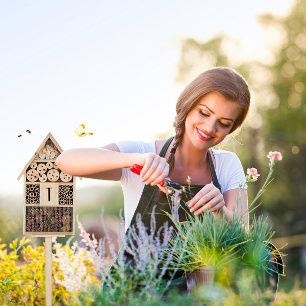 Hôtel à insectes en standard