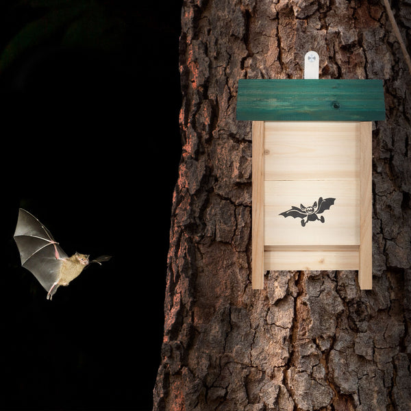 Nichoir à chauves-souris avec toit vert