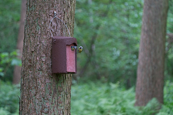 Mezenkast 1B groen van houtbeton – nestkast voor koolmees en pimpelmees – foto 2