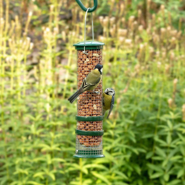 Protection contre les oiseaux - Cacahuètes Premium