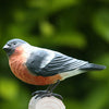 Vogelbeeldje Goudvink – Handgesneden Houten Decoratievogel | DecoBird Wildlife Garden – foto 2