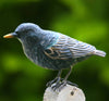 Vogelbeeldje Spreeuw – Handgesneden Houten Decoratievogel | DecoBird Wildlife Garden – foto 4