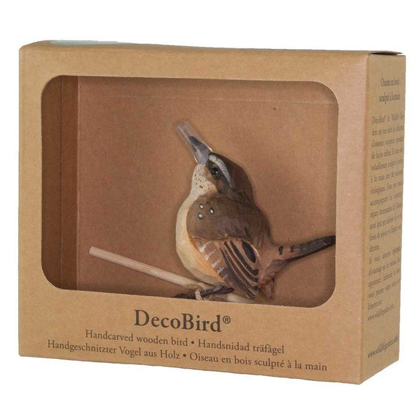 DecoBird - Troglodyte