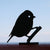 Silhouette - Mésange bleue