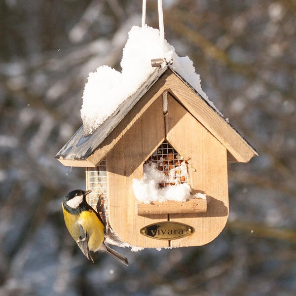 Mangeoire à cacahuètes Jupiter ardoise