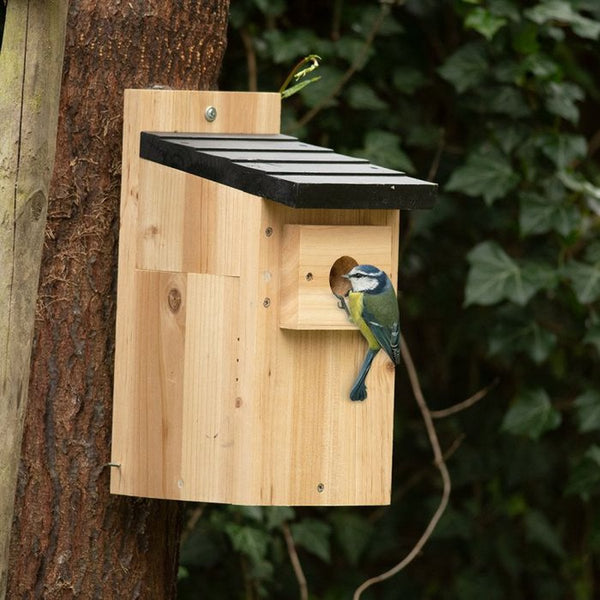 Pimpelmees Nestkast Herning Zwart Dak 28mm | Vogelbescherming