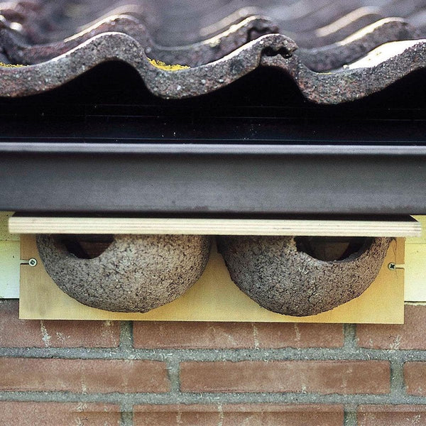 Kunstnest Huiszwaluw Dubbel – Nestkast Houtbeton | CJ Wildlife