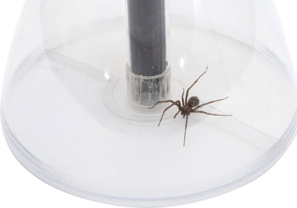 Attrape-araignées Bug Away