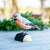 Vogelbeeldje Pestvogel – Handgesneden Houten Decoratievogel | DecoBird Wildlife Garden