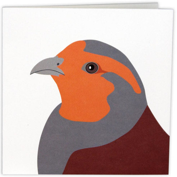 Wildlife Garden - Kaarten 9 stuks mix 2