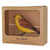DecoBird - Marteau jaune