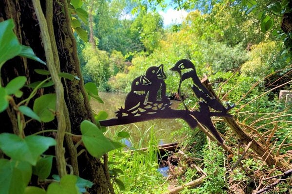 Birdwise - Moineaux avec petits