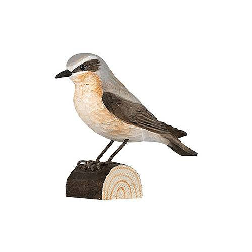 Decobird - Traquet motteux