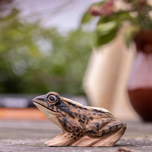 DecoBird - grenouille des landes