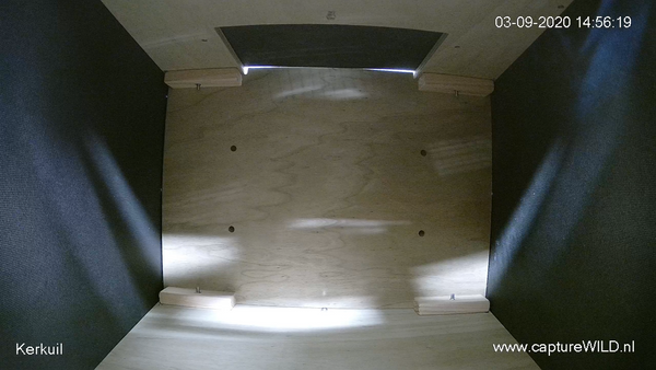 CaptureWILD - Kerkuil