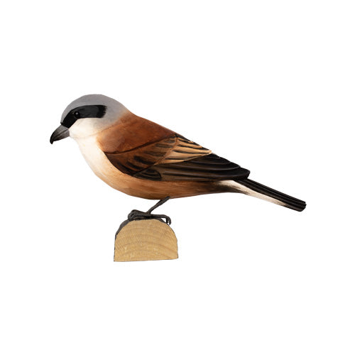 DecoBird - Pie-grièche grise