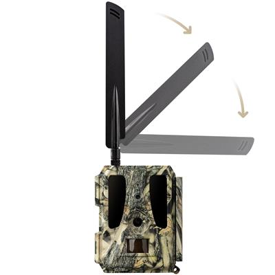 Caméra grand angle pour la faune sauvage Dörr Cloud PRO 4G