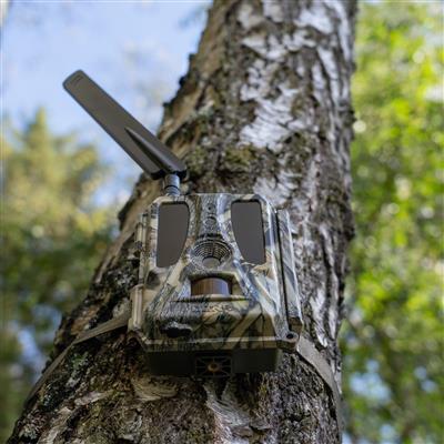 Caméra grand angle pour la faune sauvage Dörr Cloud PRO 4G
