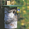 Nichoir à mésange charbonnière