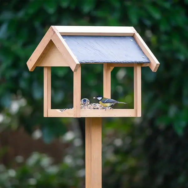 Nichoir sur poteau à Georgetown