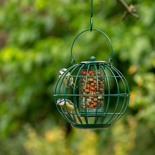 Vogelbescherming - Londen pindasilo