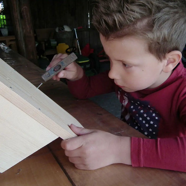 Kit de construction de mangeoire pour écureuils Sanjo