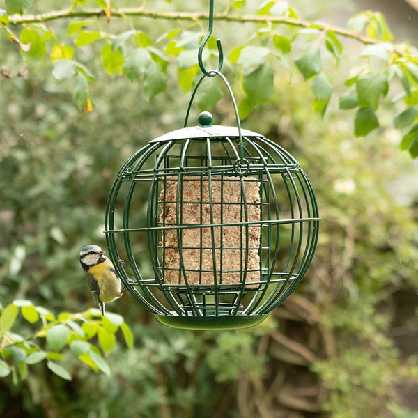 Protection des oiseaux - Support pour blocs de graisse de Londres