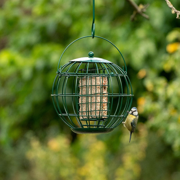 Protection des oiseaux - Support pour blocs de graisse de Londres
