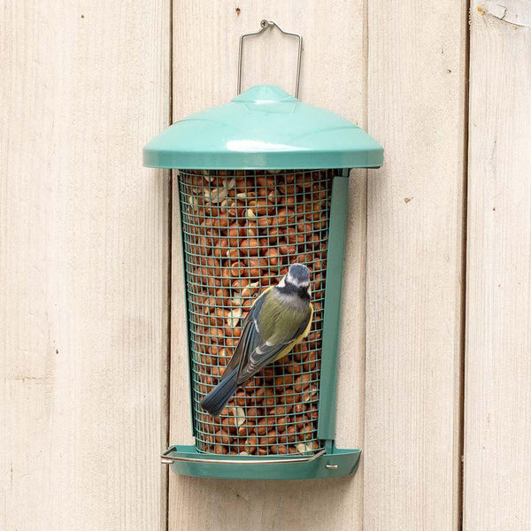 Protection contre les oiseaux - Cacahuètes Premium