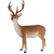 Cerf sika debout L