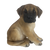 Zittende deense dog pup