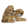Chiots couchés