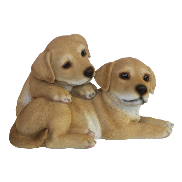 Chiots couchés