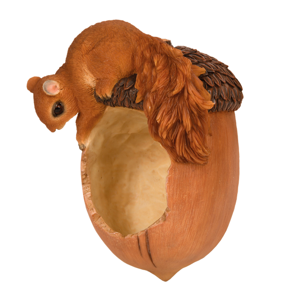 Gamelle Gland