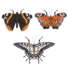 papillons