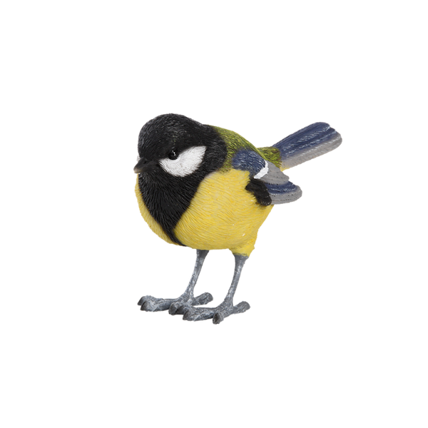Mésange charbonnière