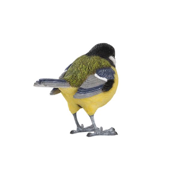 Mésange charbonnière