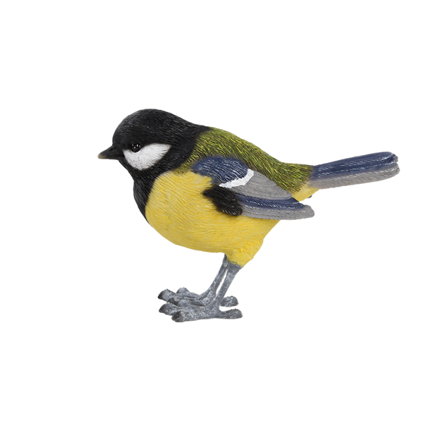 Mésange charbonnière