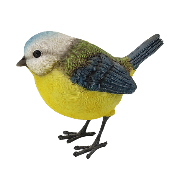 mésange bleue