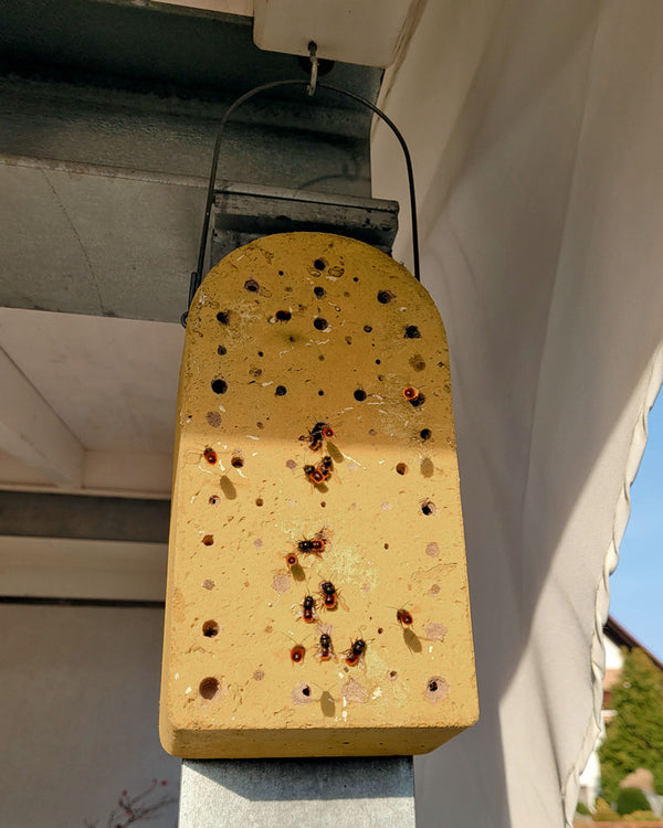 Insectennestblok van houtbeton – voor wilde bijen – foto 3