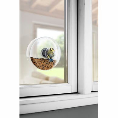 Raamvoederhuisje glas groot