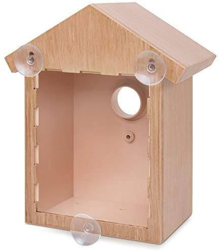 Regarder Birdhouse avec Spy Foil