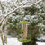 Silo à graines Smart Decor protégé