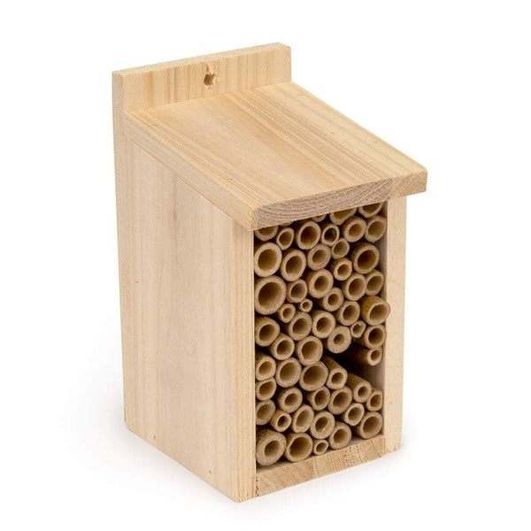 Protection des oiseaux Maison à insectes Santiago