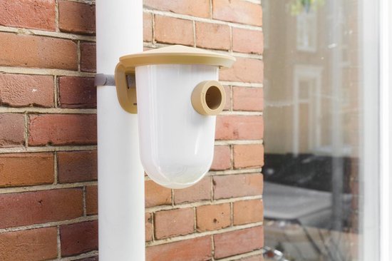 SingingFriend - breedR bruin