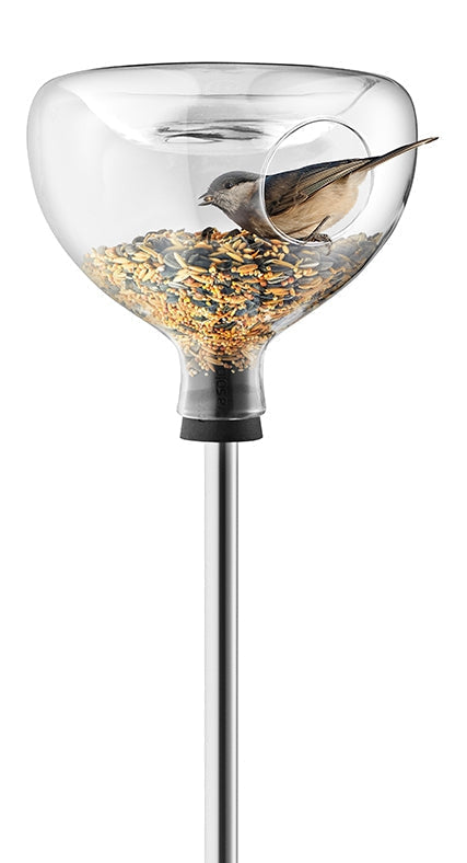 Mangeoire à oiseaux en verre avec bain d'oiseaux