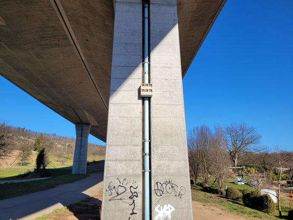Mussenkoloniekast 1SP van houtbeton – drie broedkamers – foto 6