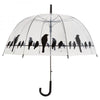 Parapluie oiseaux transparents sur fil